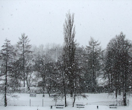 2010-01-10